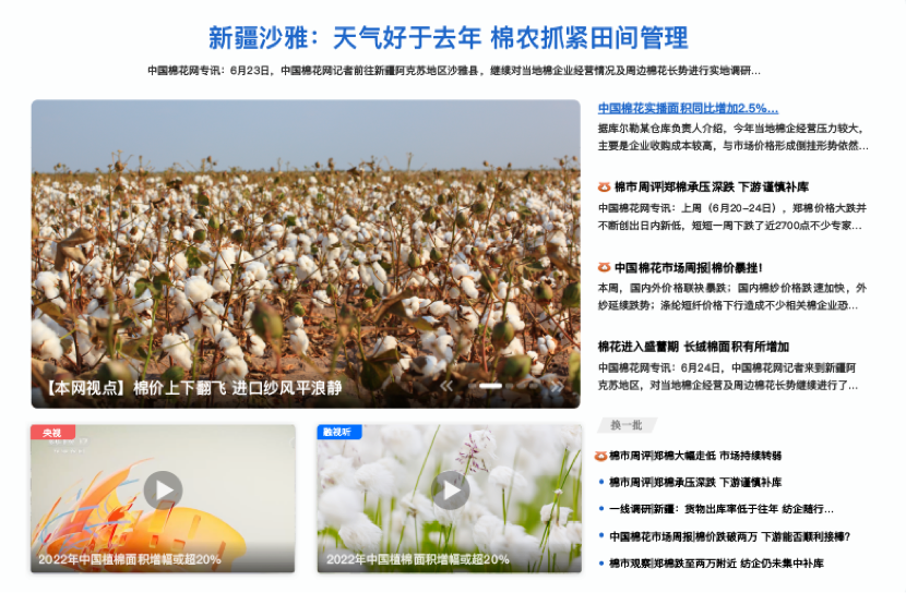 中國棉花網(wǎng)設計方案