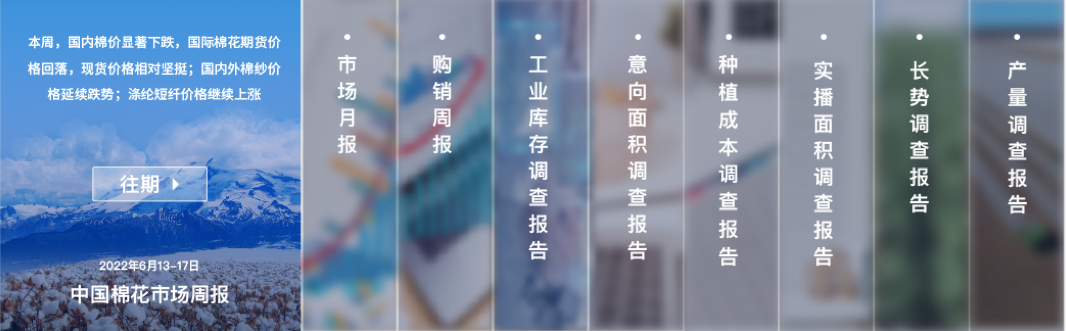 中國棉花網(wǎng)報告設計